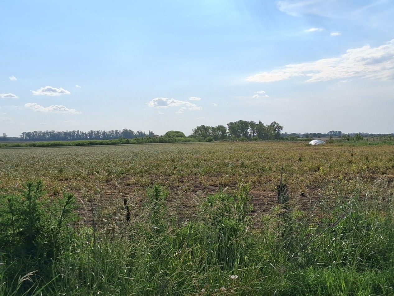 CAMPO EN VENTA