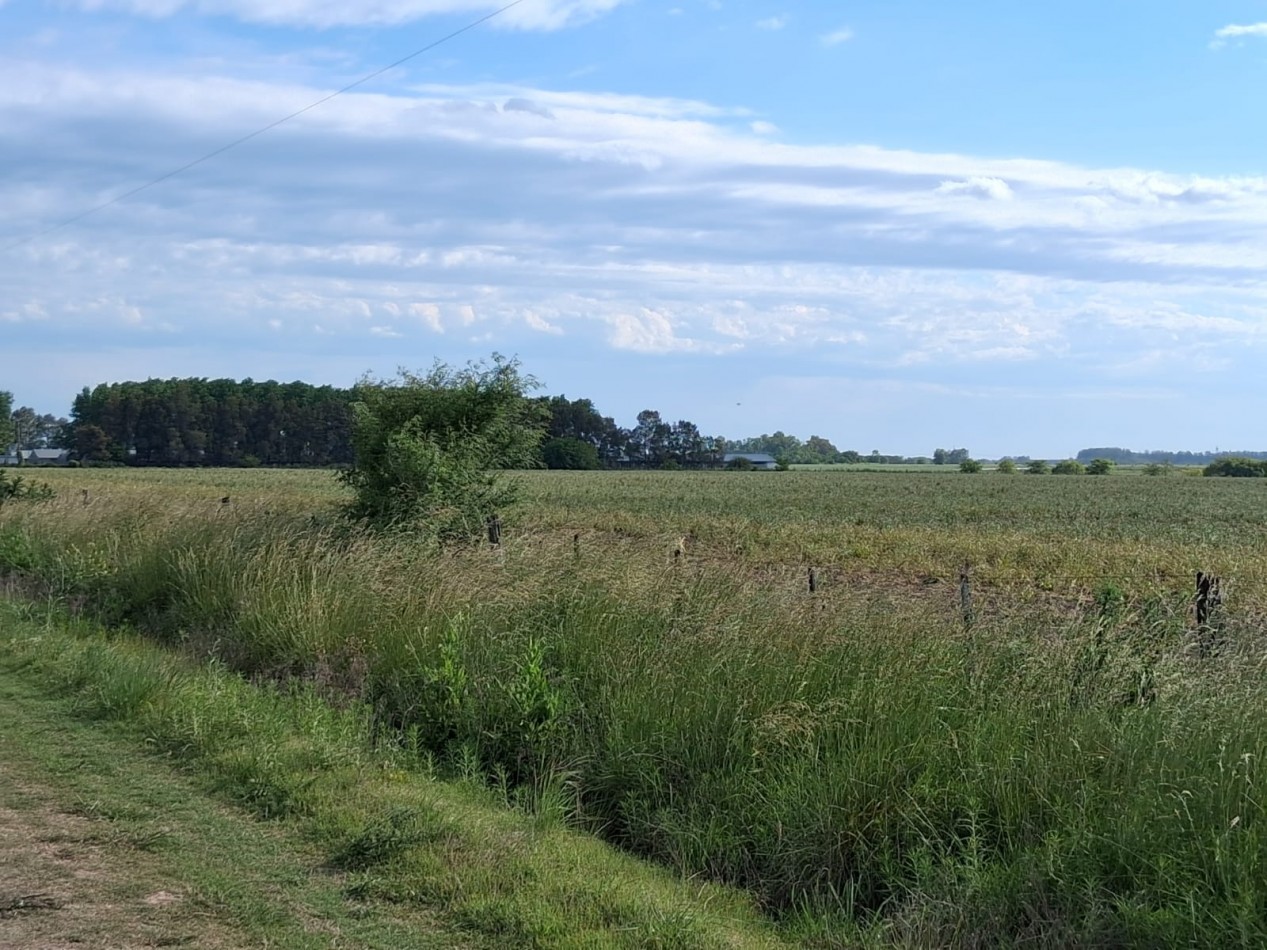 CAMPO EN VENTA