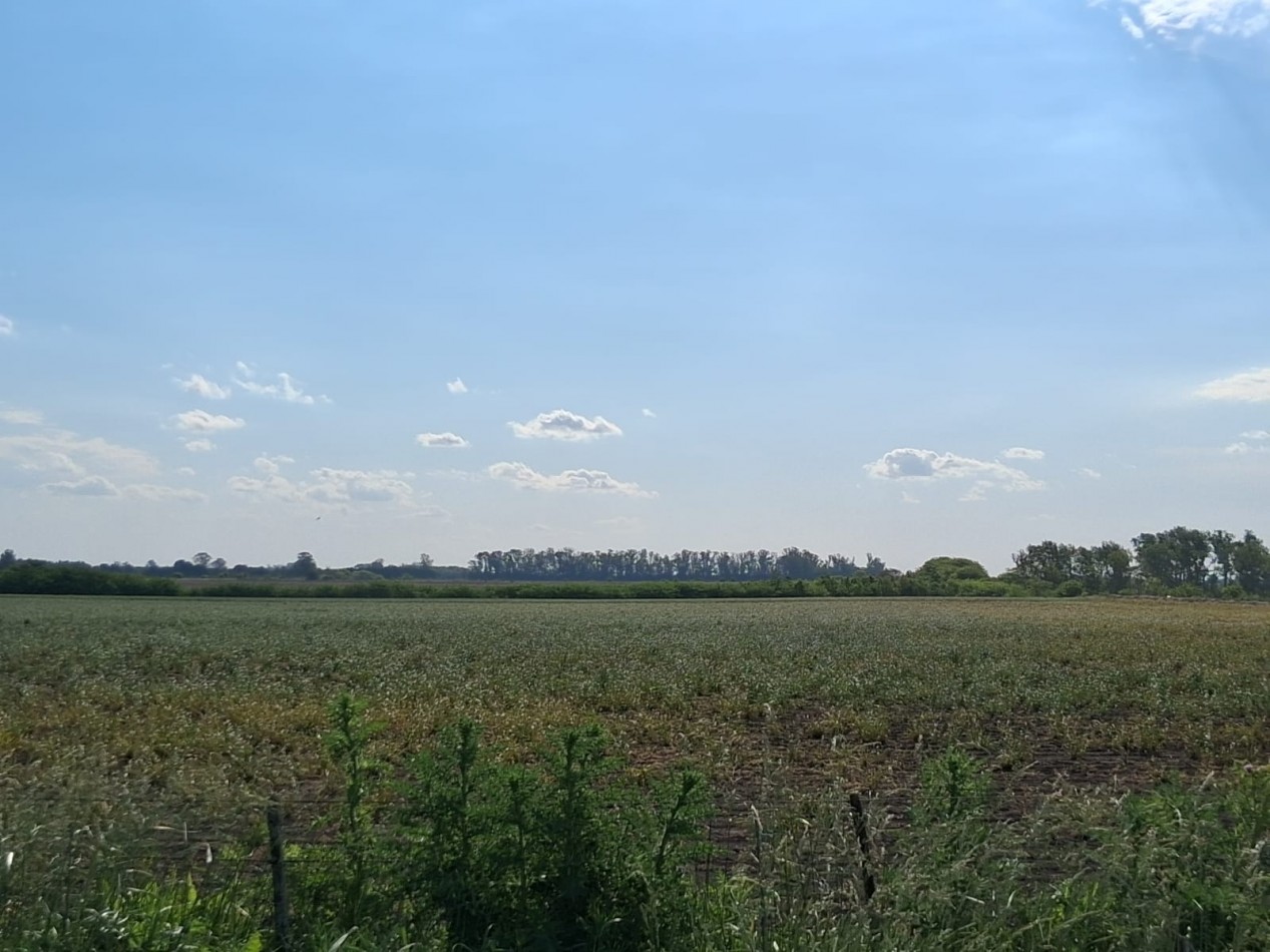 CAMPO EN VENTA