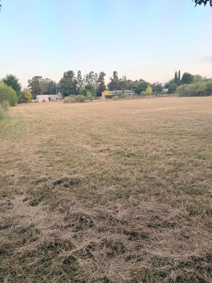2 lotes en venta