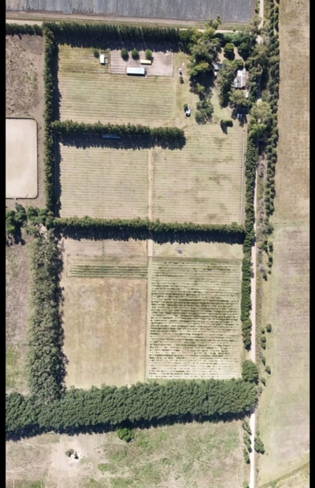 Campo en venta