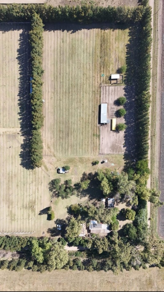 Campo en venta