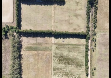 Campo en venta